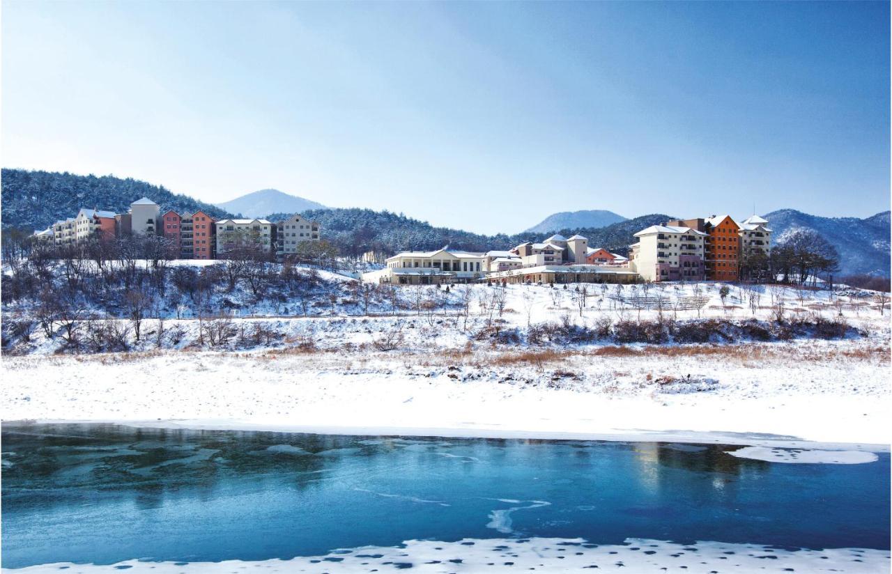 탑스텐 리조트 동강 시스타 영월 외부 사진